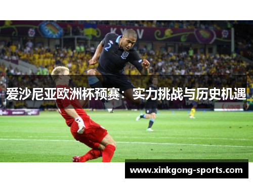 爱沙尼亚欧洲杯预赛：实力挑战与历史机遇
